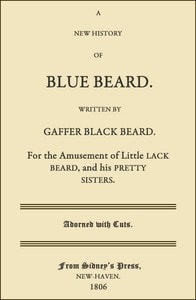 Cover of A New History of Blue Beard