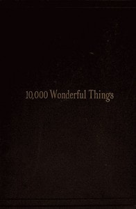 Cover of Ten Thousand Wonderful Things