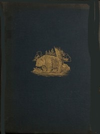 Cover of The Romance of the Woods