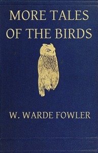Cover of More Tales of the Birds