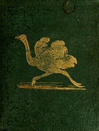 Cover of Tales About Birds, Illustrative of Their Nature, Habits, and Instincts