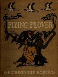 Cover of Flying Plover: His stories, told him by Squat-by-the-fire