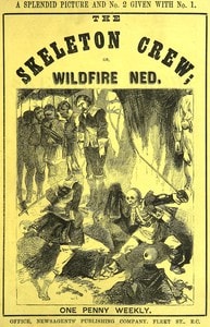 Cover of The skeleton crew