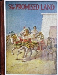 Cover of The promised land