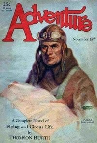 Cover of Arctic angels