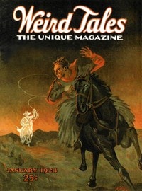 Cover of The picture in the house