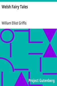 Cover of Welsh Fairy Tales